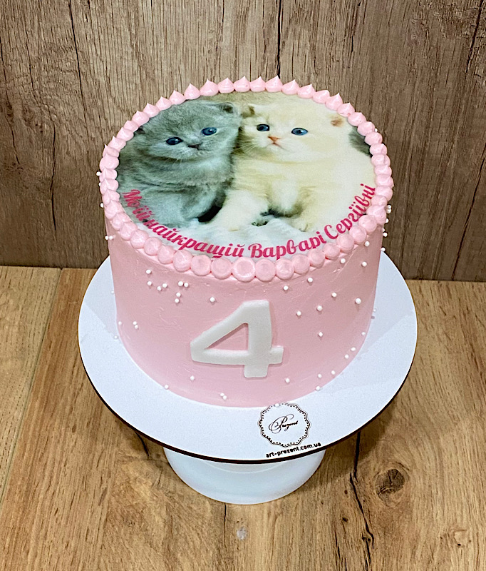 Бенто торт з котиками