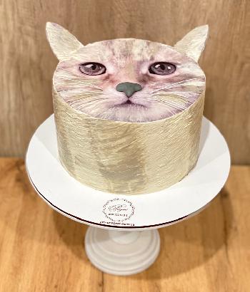 торти на замовлення Торт кіт