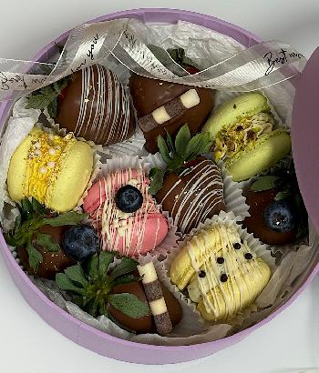 ������������ �������� ����