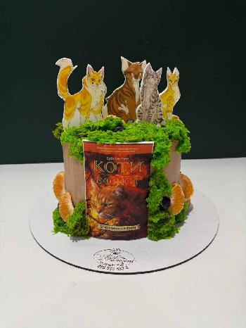 ���� ����-�����